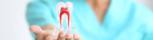 mondzorgpraktijk-kruitberghof-tandarts-behandelingen-mondhygiene-tanden-bleken-tanden-poetsen-kronen-bruggen-amsterdam-zuid-oost-bijlmer